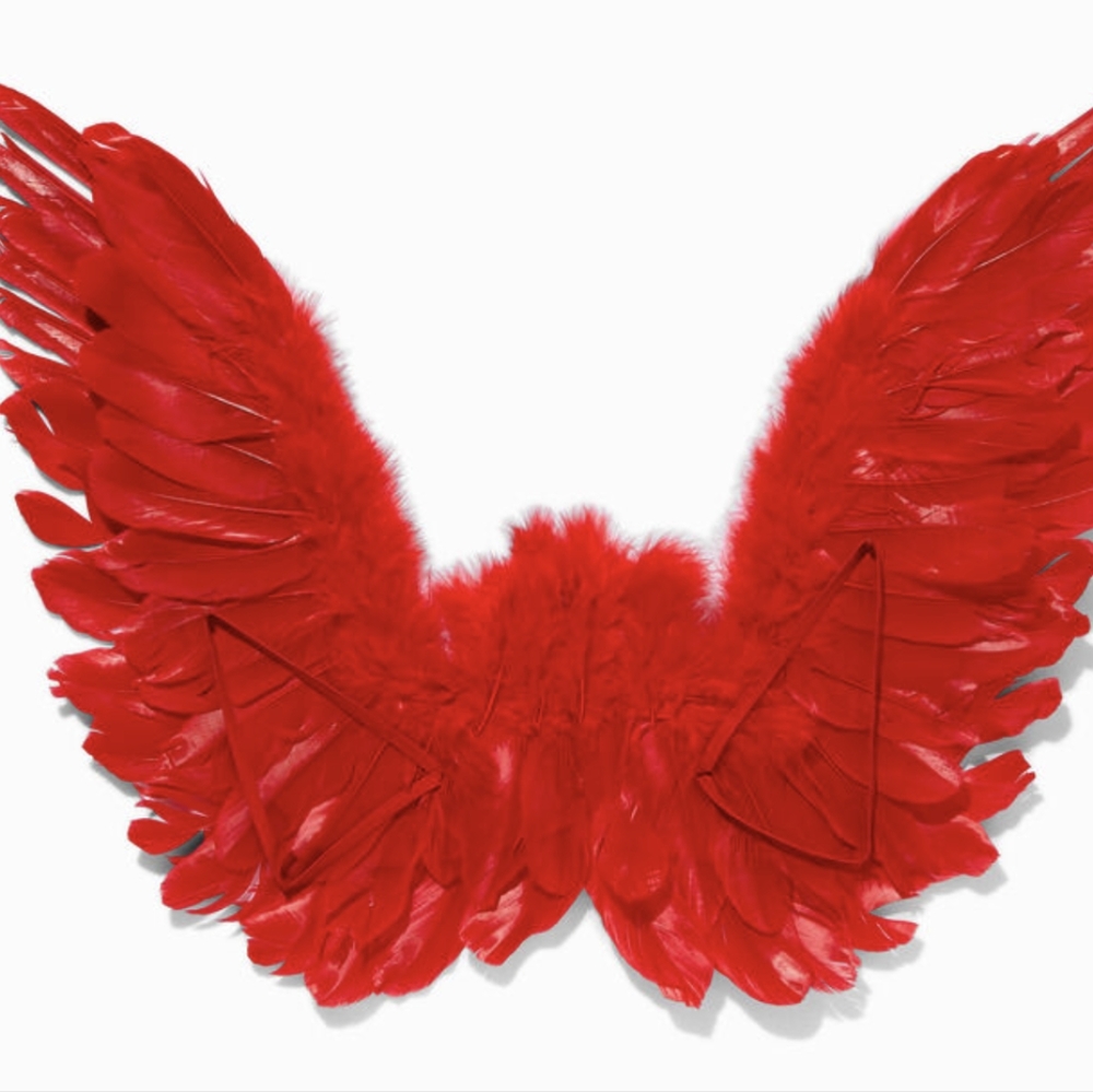 NWT- RED ANGEL WING